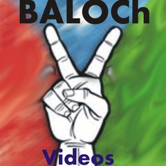 balochvines