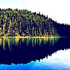 Barbarawhitmire26