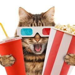 PELICULAS Y SERIES LATINO