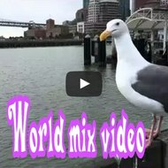 World Mix video