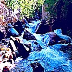 Deloreschurch52