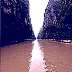 Gora