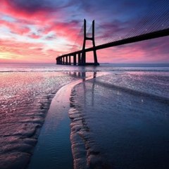 A Time to dance is a Time to Live