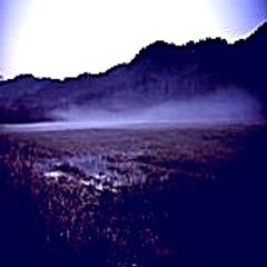 Agathasteen10