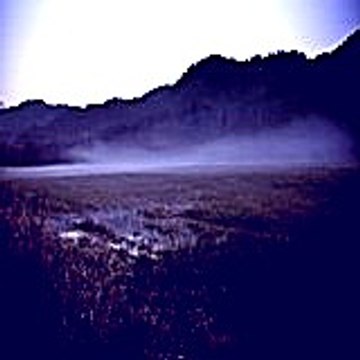 Agathasteen10