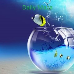 Daily Maza