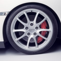 Tire Punisher