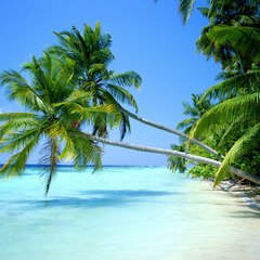 klovetravel
