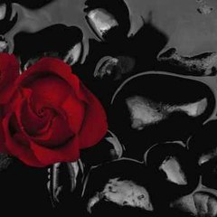 Obsessedbybooksdesigns