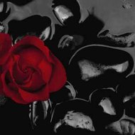 Obsessedbybooksdesigns