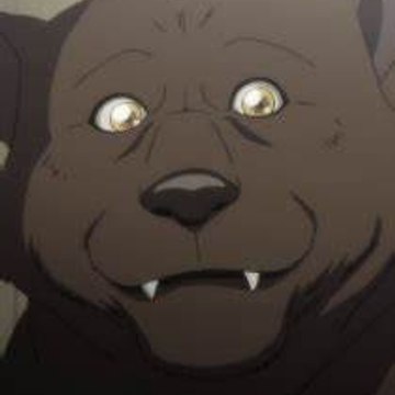 Male TF videos