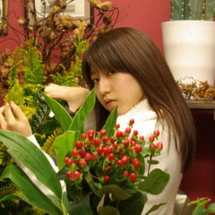 Lily_a_tone