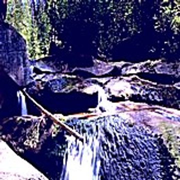 Francinefrevele28
