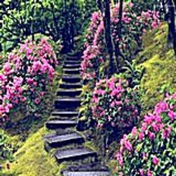 Cathleenhebbard50