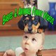 Insane Funny Videos