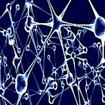 Geraldinerosbotham76