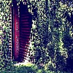Marjorieprout44