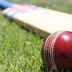 The Cricket Channel