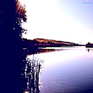 Edmonddunlop64