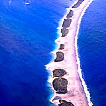 Friedagoehrke16
