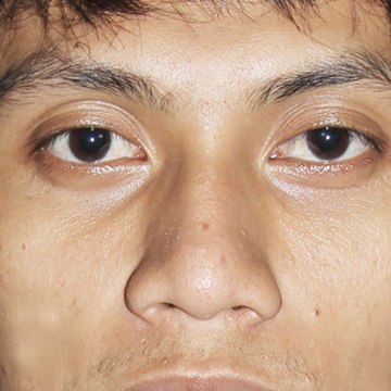 Dwilaksono