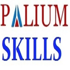 Palium Skills
