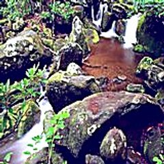 Kristincorrie28