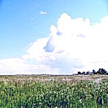 Michellegers72
