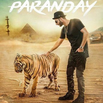 Entertainment Videos