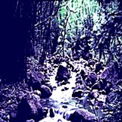 Jeffreydalzell77