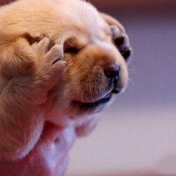Funny and Cute