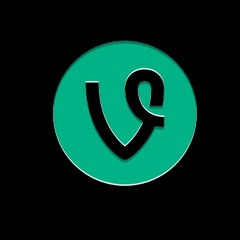 The Best Vines
