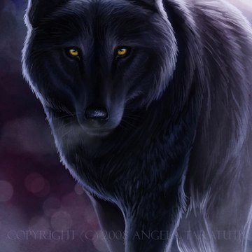 Utah Wolf Productions