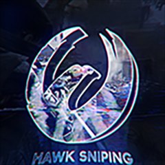 HAWK Sniping