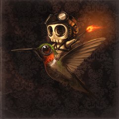 Orgulaswhitfoot
