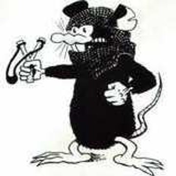 Rat Noir