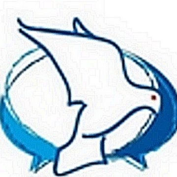 Conférence catholique des baptisé-e-s francophones