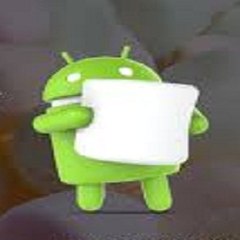 Android Official
