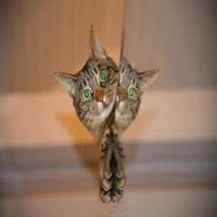 《찜알바》추천!주말아르바이트,수원알바,남자알바,포항노래방알바,바알바