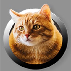 CATS GB