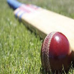 cricket fun