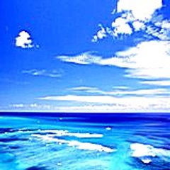 Robertscowby73