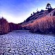 Kopiwivivu