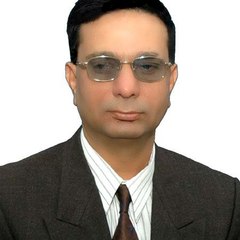 Syed Sardar Ahmed Pirzada
