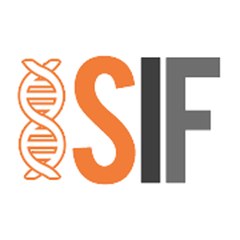 StopIdentityFraud