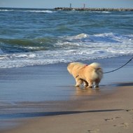 《찜알바》추천!알바모집,청주유흥알바,여자알바생,분당고수익알바,유흥정보