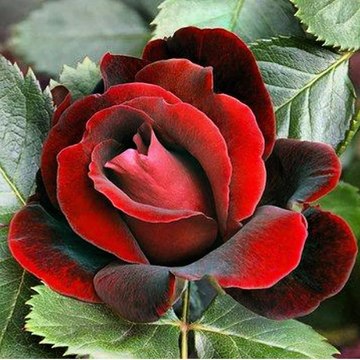 Всё что происходит в жизни