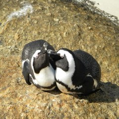 밤일《찜알바》강남바알바,포항여자알바,시크릿알바,분당알바정보