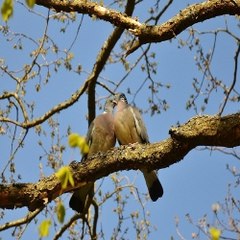 밤일알바《찜알바》알바넷,포항여자알바,야시알바,일산고수입알바정보