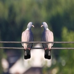 귀족알바《찜알바》일하자,울산고소득알바,악녀알바,부천밤알바정보
